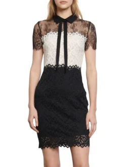 Sandro Rozen Lace Sheath Dress -Sandro Sales Shop unnamed file 59