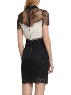 Sandro Rozen Lace Sheath Dress -Sandro Sales Shop unnamed file 60